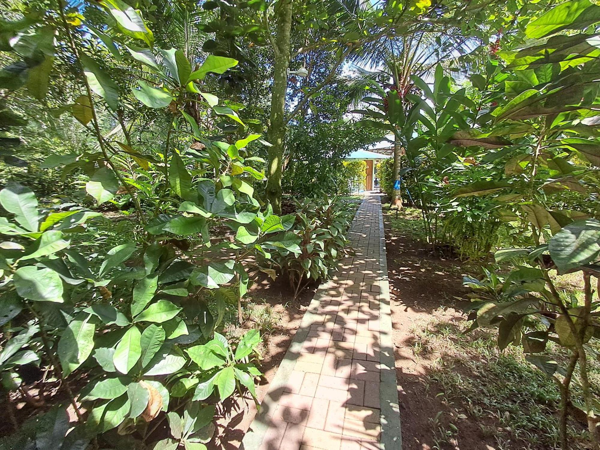 カウイータ New Caribe Pointヴィラ エクステリア 写真